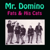 Mr. Domino (Dance With Mr. Domino) artwork