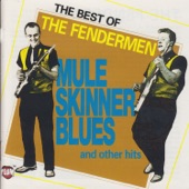 Mule Skinner Blues artwork