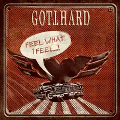 Feel What I Feel - Single - Gotthard