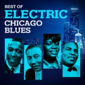 Best of Electric Chicago Blues artwork