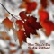 Co Don Mot VI Sao - Suta Zither lyrics
