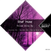 Think Slow (Dan Noel Remix) artwork