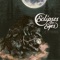 Sharks - Eclipses for Eyes lyrics