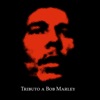 Is This Love (Bob Marley) - Single