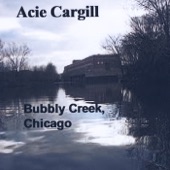 Bubbly Creek, Chicago artwork
