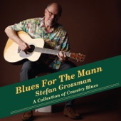 Stefan Grossman - Richland Woman Blues