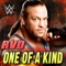 WWE: One of a Kind (Rob Van Dam) - Breaking Point lyrics
