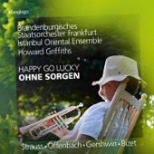 21 Hungarian Dances, WoO 1: No. 1 in G Minor (Version for Orchestra) artwork