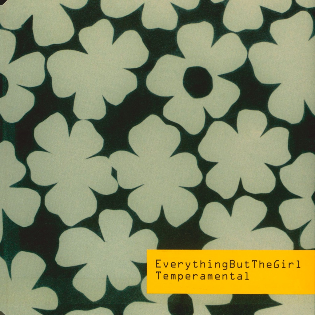 Everything But the Girl: Next Steps