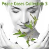 Peace Oases Collection 3 - Spa & Wellness Edition