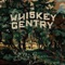 One Night in New York (feat. Butch Walker) - The Whiskey Gentry lyrics