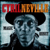 Cyril Neville - Invisible