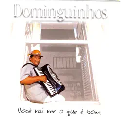 Você Vai Ver o Que é Bom - Dominguinhos