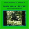 David Bruehwiler - Samba para as Árvores (feat. Rodrigo Botter Maio)