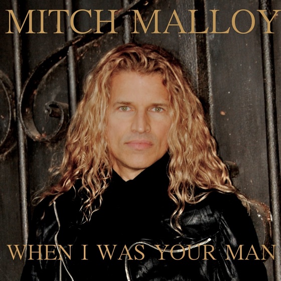 Cover artwork for When I Was Your Man