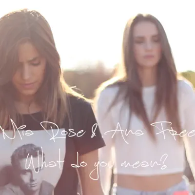What Do You Mean? - Single - Mia Rose