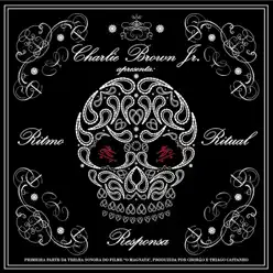 Pontes Indestrutiveis - Single - Charlie Brown Jr.