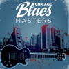 Chicago Blues Masters, 2013