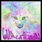 Deep Tone - Wildcat Enigma lyrics