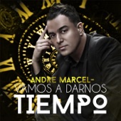 Vamos a Darnos Tiempo artwork