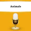 Animals album lyrics, reviews, download