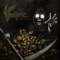The Fen - Vampire lyrics