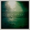 Field Report artwork