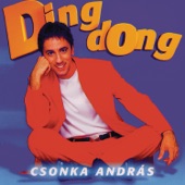 Ding-Dong (Radio Version) artwork