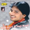 Labh Heere Di Steji Masti
