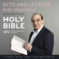 New International Version - NIV Bible 8: Acts and Letters (Unabridged) artwork