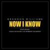 Stream & download Now I Know (feat. Jesse Boykins III & Robert Glasper) - Single