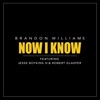 Now I Know (feat. Jesse Boykins III & Robert Glasper) - Single