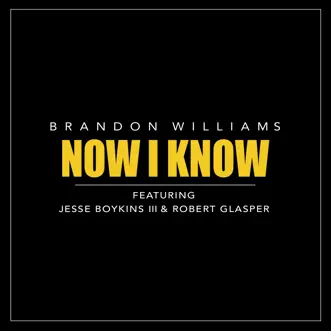 Now I Know (feat. Jesse Boykins III & Robert Glasper) by Brandon Williams song reviws