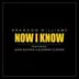 Now I Know (feat. Jesse Boykins III & Robert Glasper) song reviews