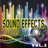 EFX - Sound Effects, Vol. 3 (Footsteps, Sneeze, Laugh, Birds, Screams and More) - EFX