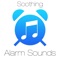 Synth Pattern Alarm Sound - Steven Cravis lyrics