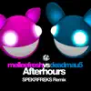 Afterhours (Spekrfreks Remix) song lyrics