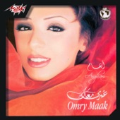 Omry Maak artwork