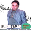 Florin Salam (Best Of), 2013