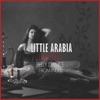 Little Arabia - Exotic Belly Dance from India