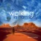 Walking in Hamony - Brian Carter lyrics