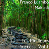 Les Meilleurs Success, Vol.1 - Franco Luambo Makiadi