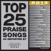 Top 25 Praise Songs 2013 Edition artwork