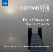 Flute Concerto No. 17 in D Major: II. Romanza. Poco adagio artwork