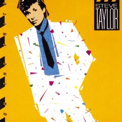 Steve Taylor - You've Been Bought