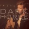 Dark Horse (Acoustic) - Tyler Ward lyrics