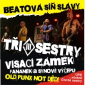 Zivot Je Takovej (Live) artwork