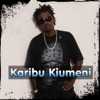 Karibu Kiumeni - Single