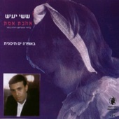 עוד יהיו ימים artwork