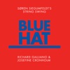 Blue Hat